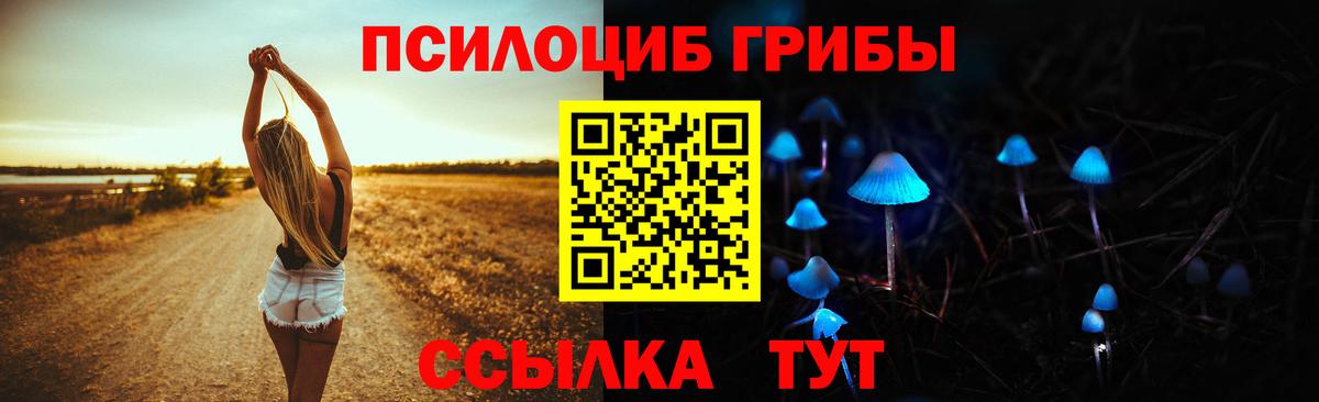Назрань  Галлюциногенные грибы Cubensis  Галлюциногенные грибы MAGIC MUSHROOMS  Вход с VPN 