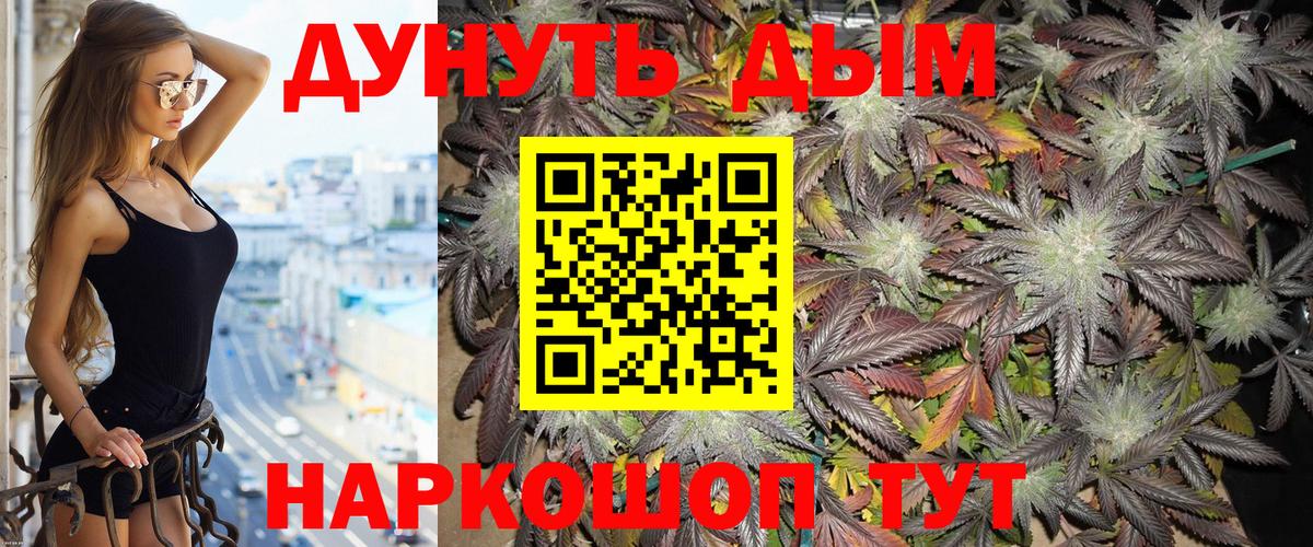 Назрань  Канабис тримм  Вход с VPN  Бошки марихуана планчик  Бошки Шишки тримм 